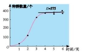 研究报告《S8春季赛LPL生态种群发展规律》