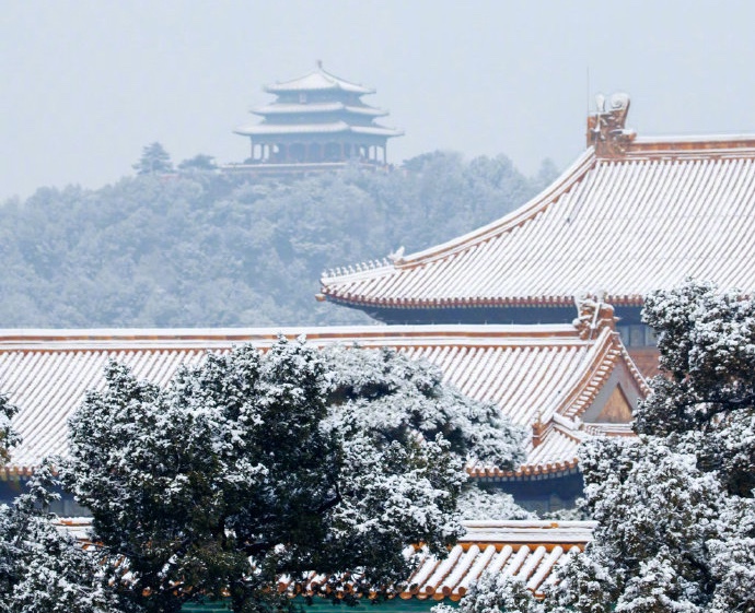 [已开奖] [加友夜话] 2019年的第一场雪