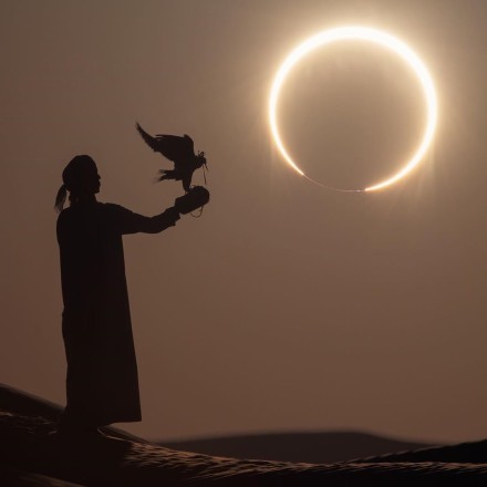 [加友夜话] 大家今天看日食了吗？