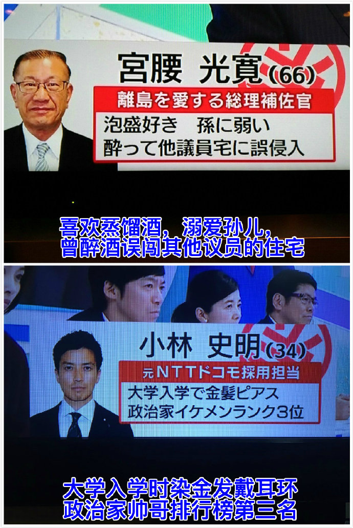 [趣闻] 一些无关紧要的日本候选议员资讯