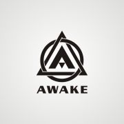 PDL淘汰赛开战在即，Awake、DGG等战队将登场