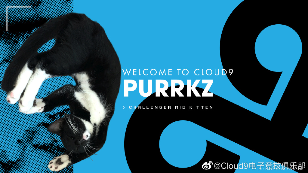 C9在官宣Perkz加盟之前，先一步官宣了名叫Purrkz的宠物加盟