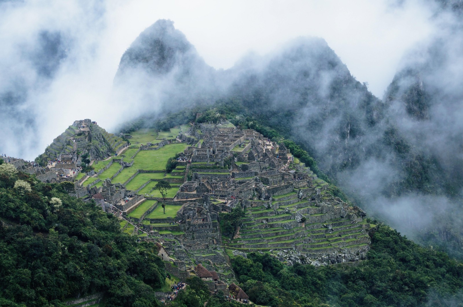 ALEX发推赞美风景，这又是哪个地图的原画？