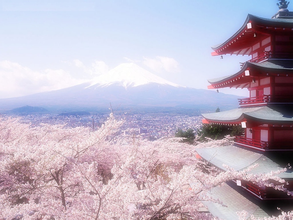 [有趣档案]落英缤纷的花村：有关日本文化的那些人那些事