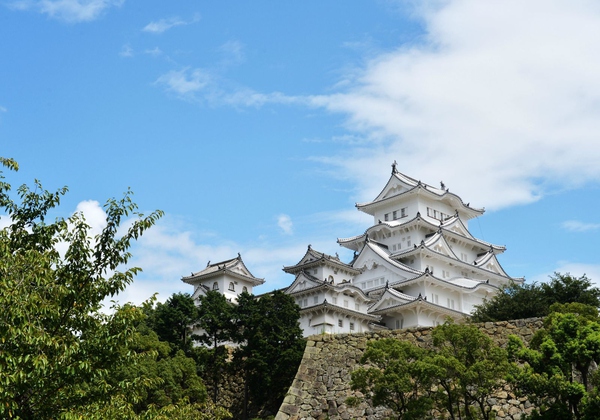 [有趣档案]落英缤纷的花村：有关日本文化的那些人那些事