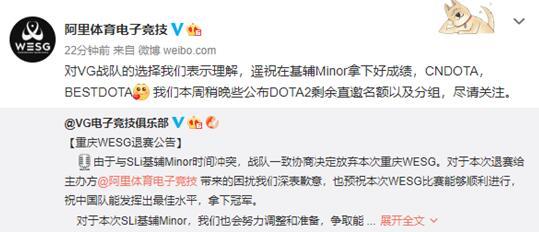 因与Minor冲突 VG退出WESG全球总决赛