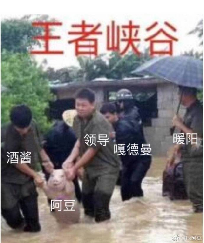 [言论] 顺利晋级 TS众人发博点名表扬阿豆鲁班大师