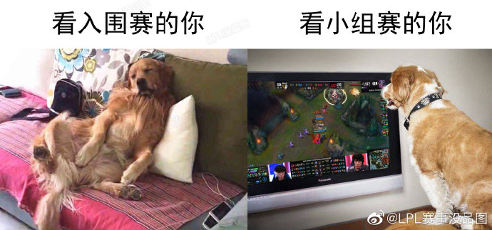  LPL赛事没品图：柴犬进化史