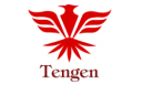 Tengen Gaming