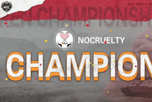 坦克世界公开赛总决赛：恭喜NoCruelty击败GCAT拿下总冠军！