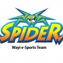 Wayi Spider e-Sports Team