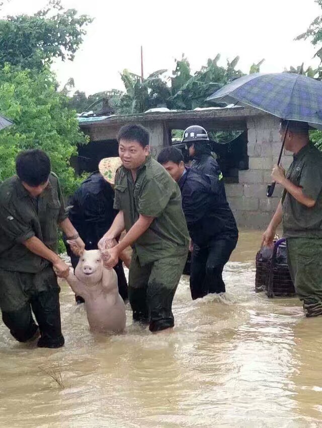 希望c组的各位大佬提前给g2放个假