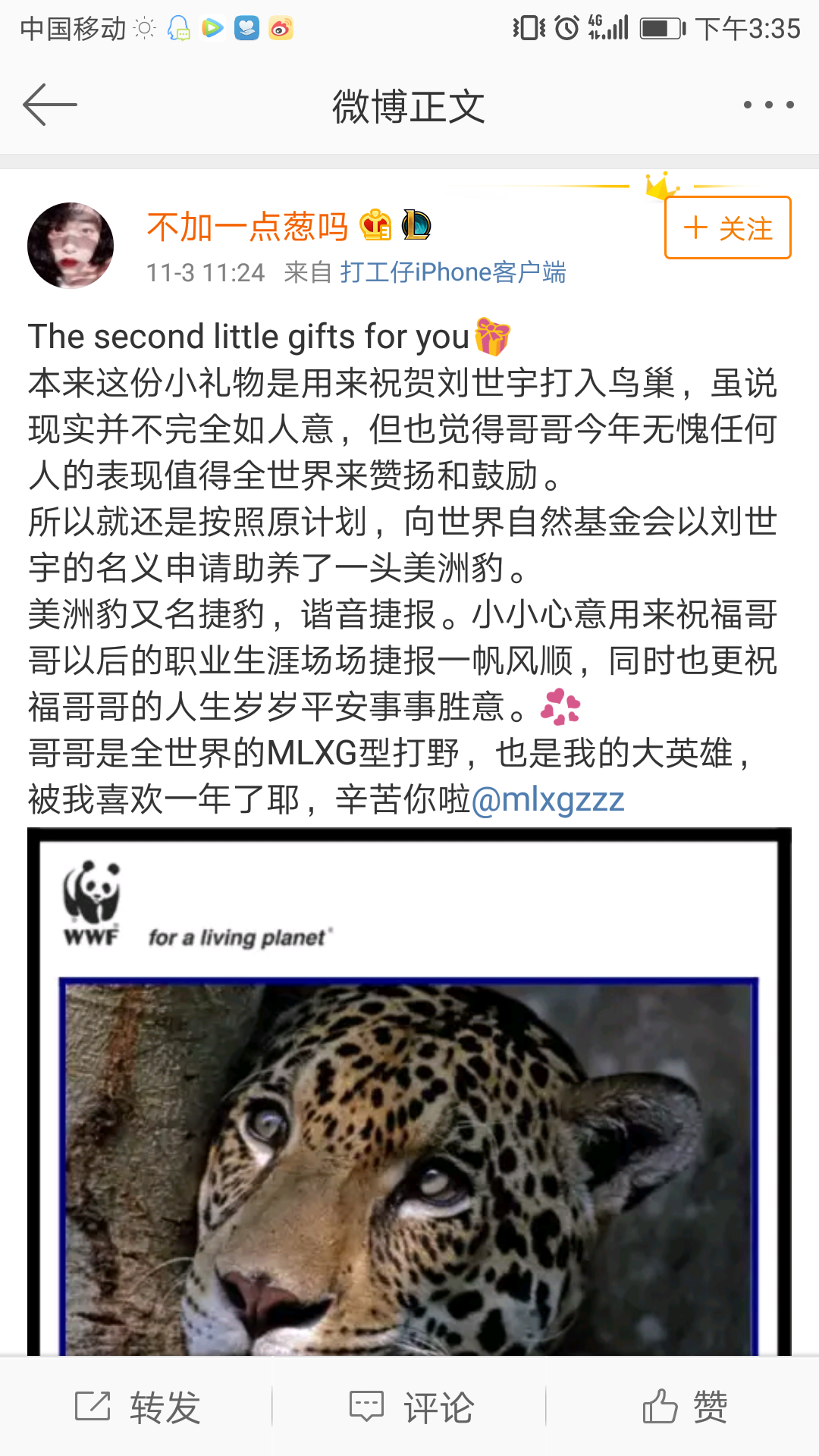 粉丝以香锅名义申请助养一头美洲豹