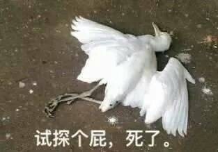 我觉得我可能发现了一个理论