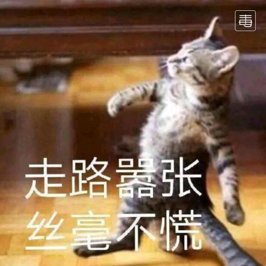 今天份的小竹排