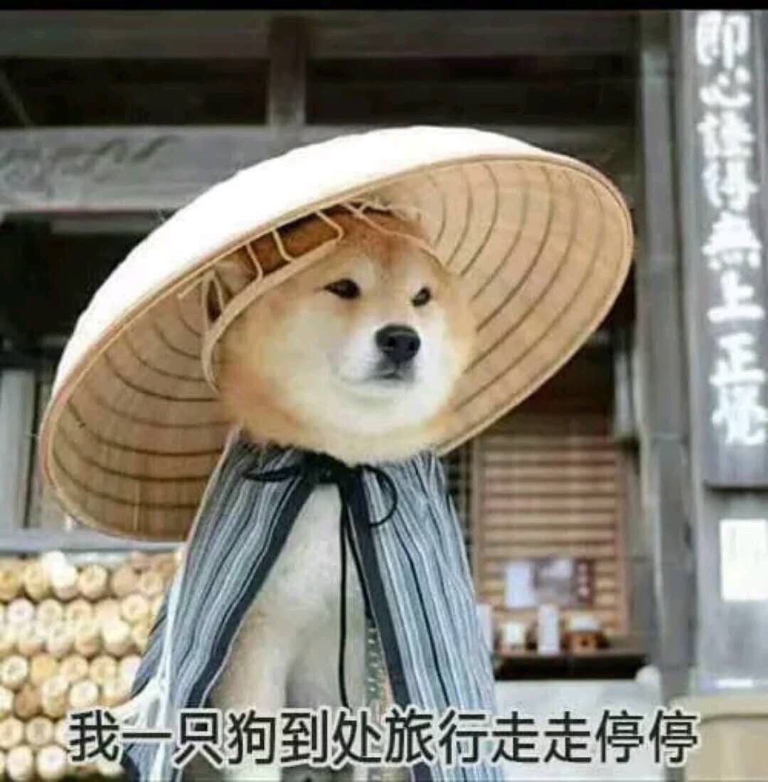 不懂就问