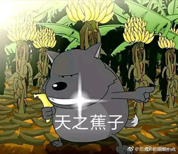 🍌太🐺有点强啊，这哪里是新人的样子😐