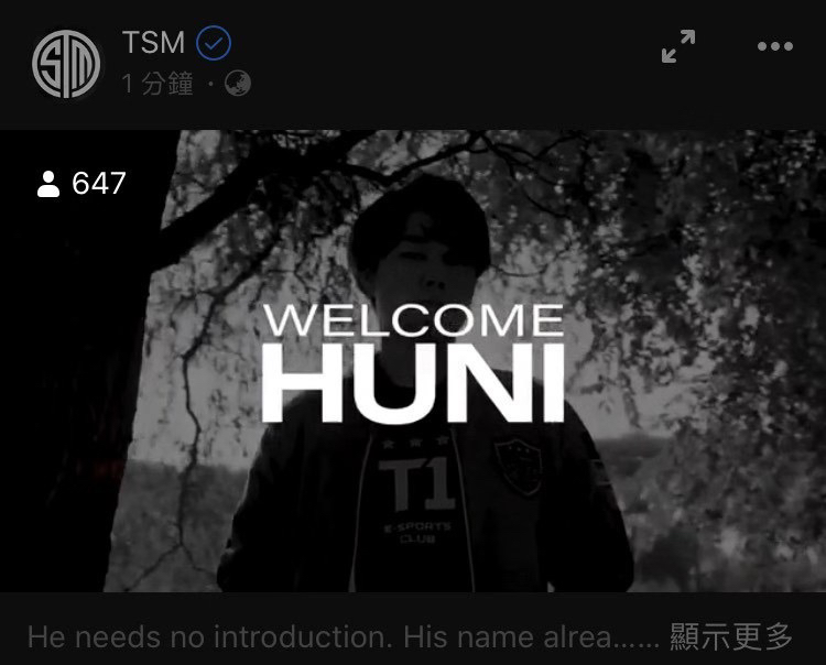 TSM Huni 正在连接